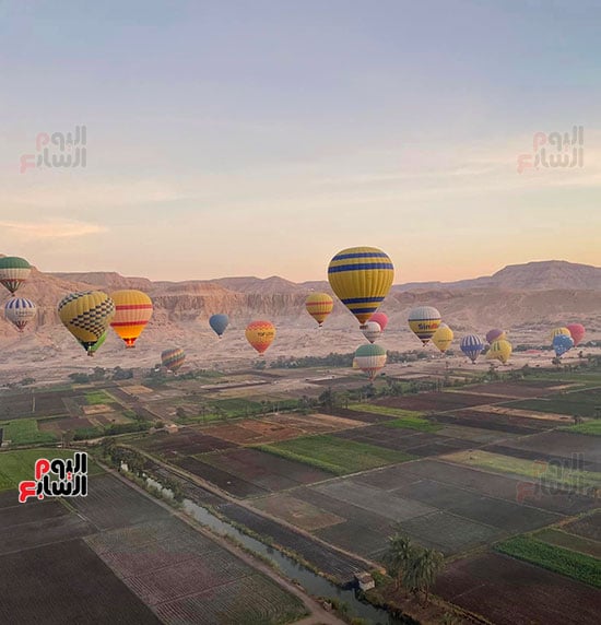 البالونات-تحلق-بين-الطبيعة-الساحرة-غرب-الأقصر