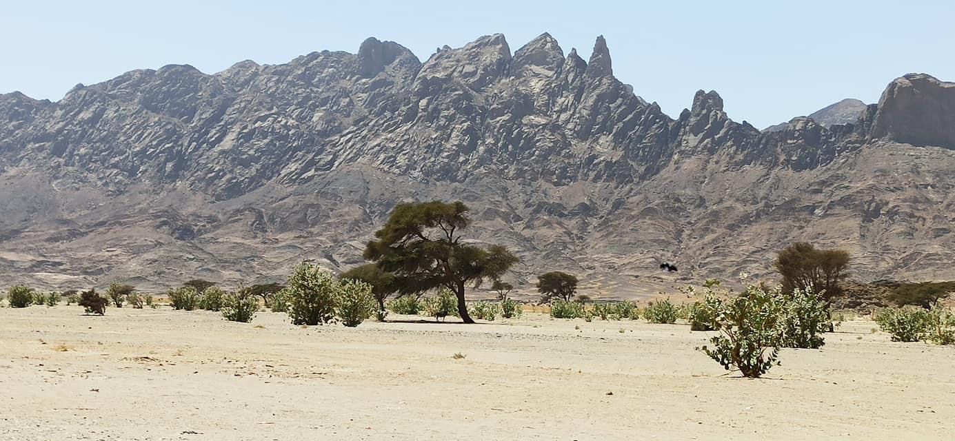 وادى هيبا غرب الشلاتين