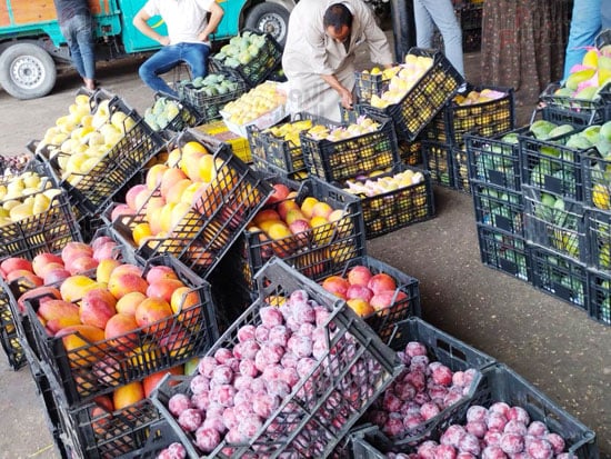 المانجو-بسوق-الجملة-ببنها