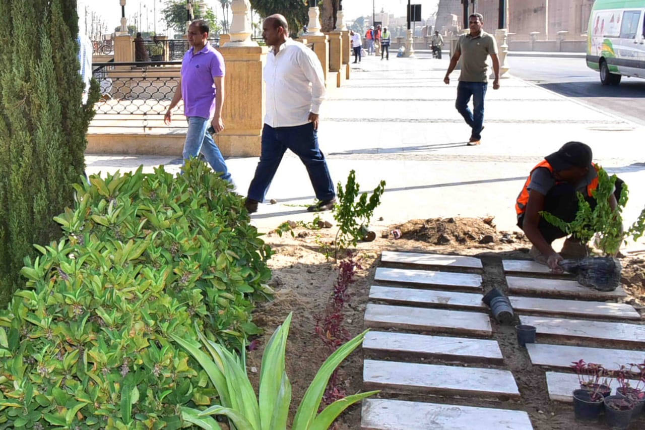 أعمال زراعة 250 شتلة متنوعة لتجميل كورنيش النيل أمام المواطنين