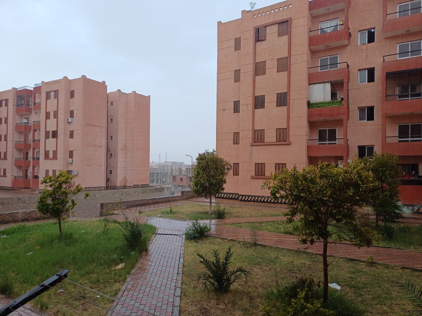 سقوط الأمطار في أسوان (3)