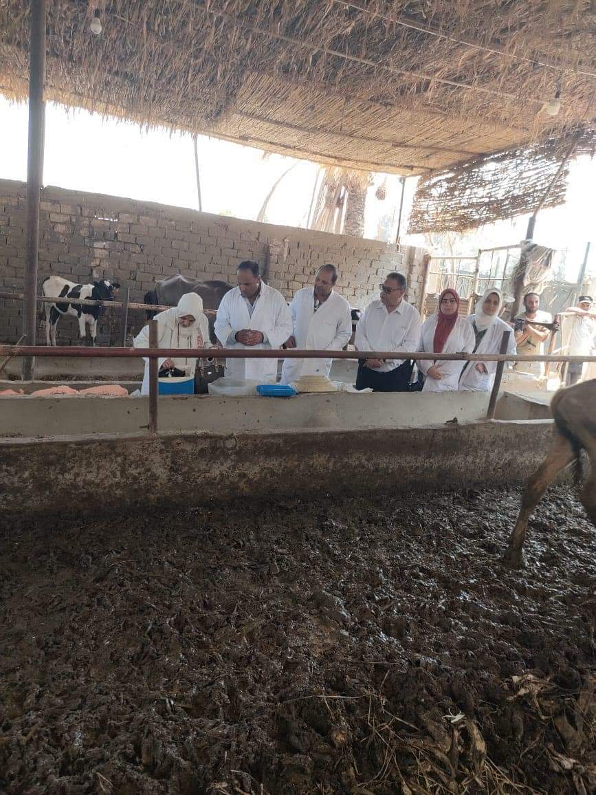 جزء من حملة التحصين جزء من حملة التحصين