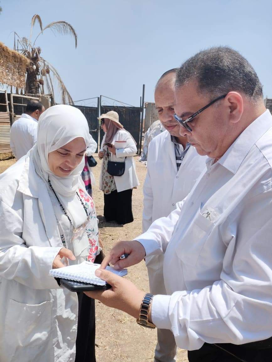 جزء من الحملة الوطنية للتطعيم ضد مرض الحمى القلاعية جزء من الحملة الوطنية للتطعيم ضد مرض الحمى القلاعية