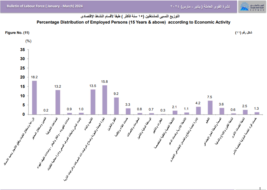 توزيع المشتغلين طبقا للنشاط الاقتصادى
