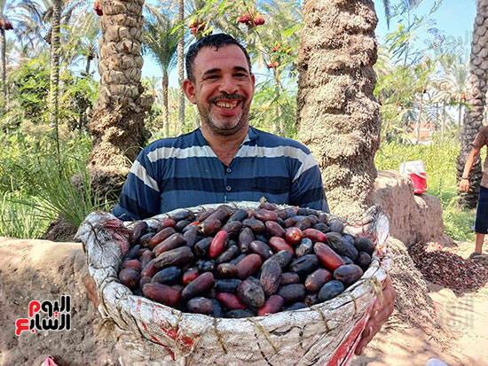 فرحة-انطلاق-موسم-الحصاد