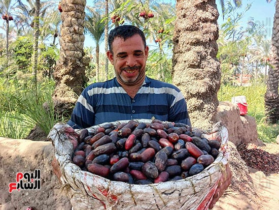 عم-حسينى-محمد-سليمان