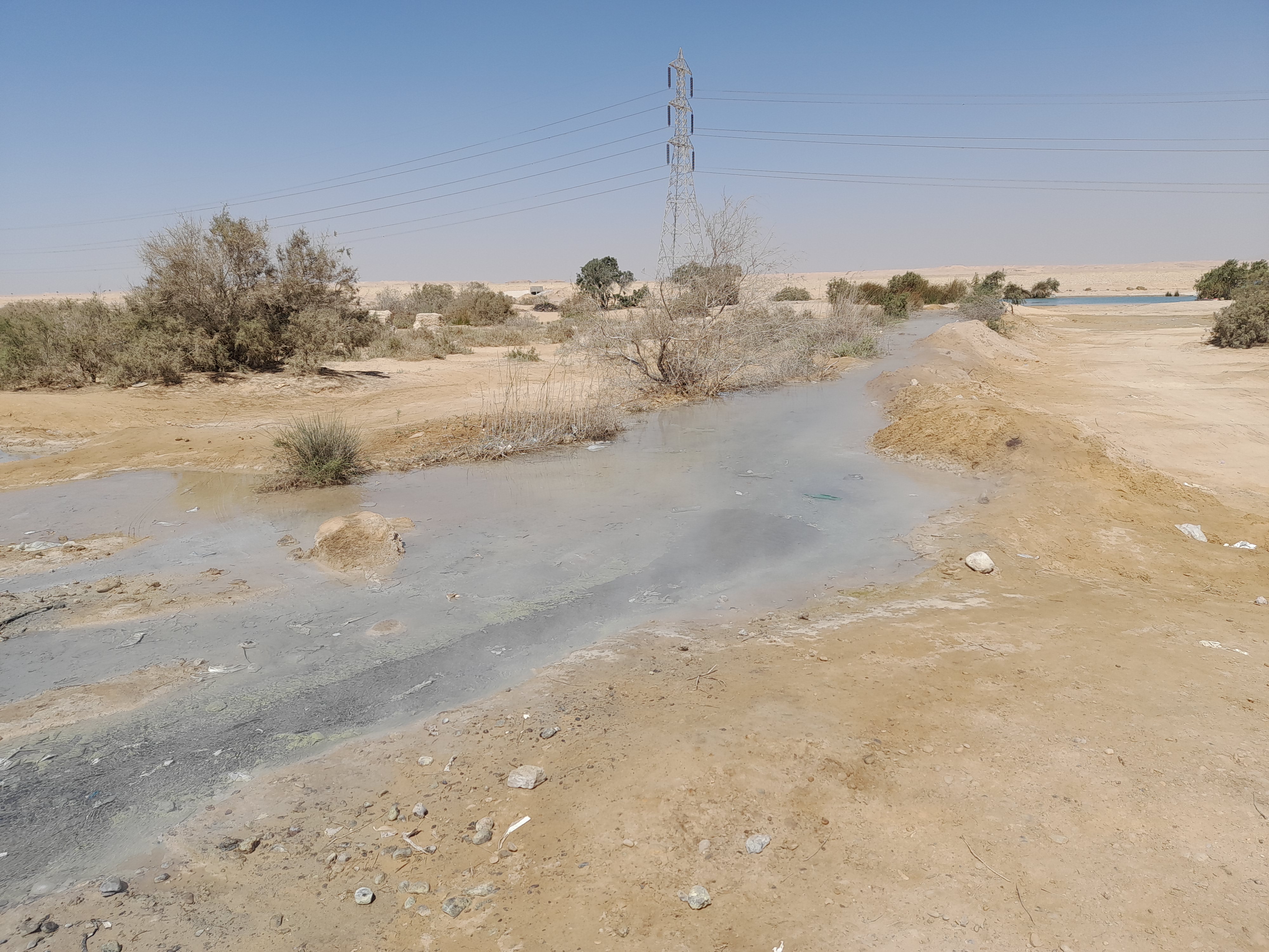 المياه الكبريتية فى الصحراء برأس سدر