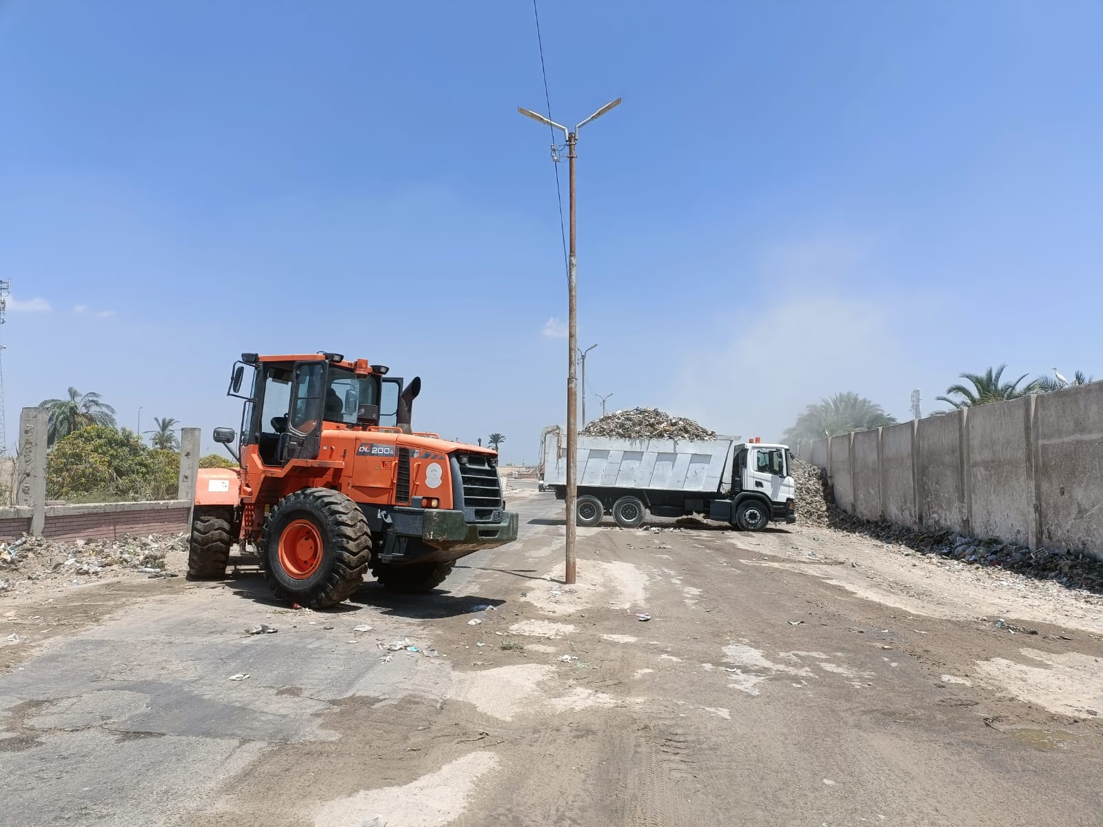 1000376566 1000376566