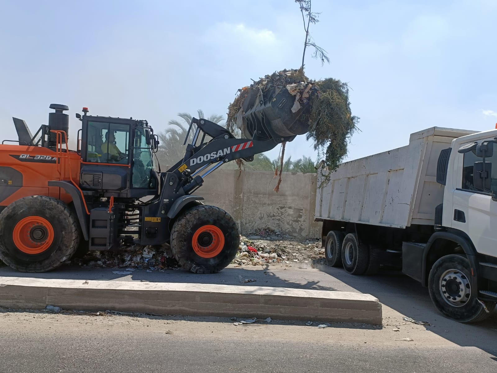 1000376557 1000376557