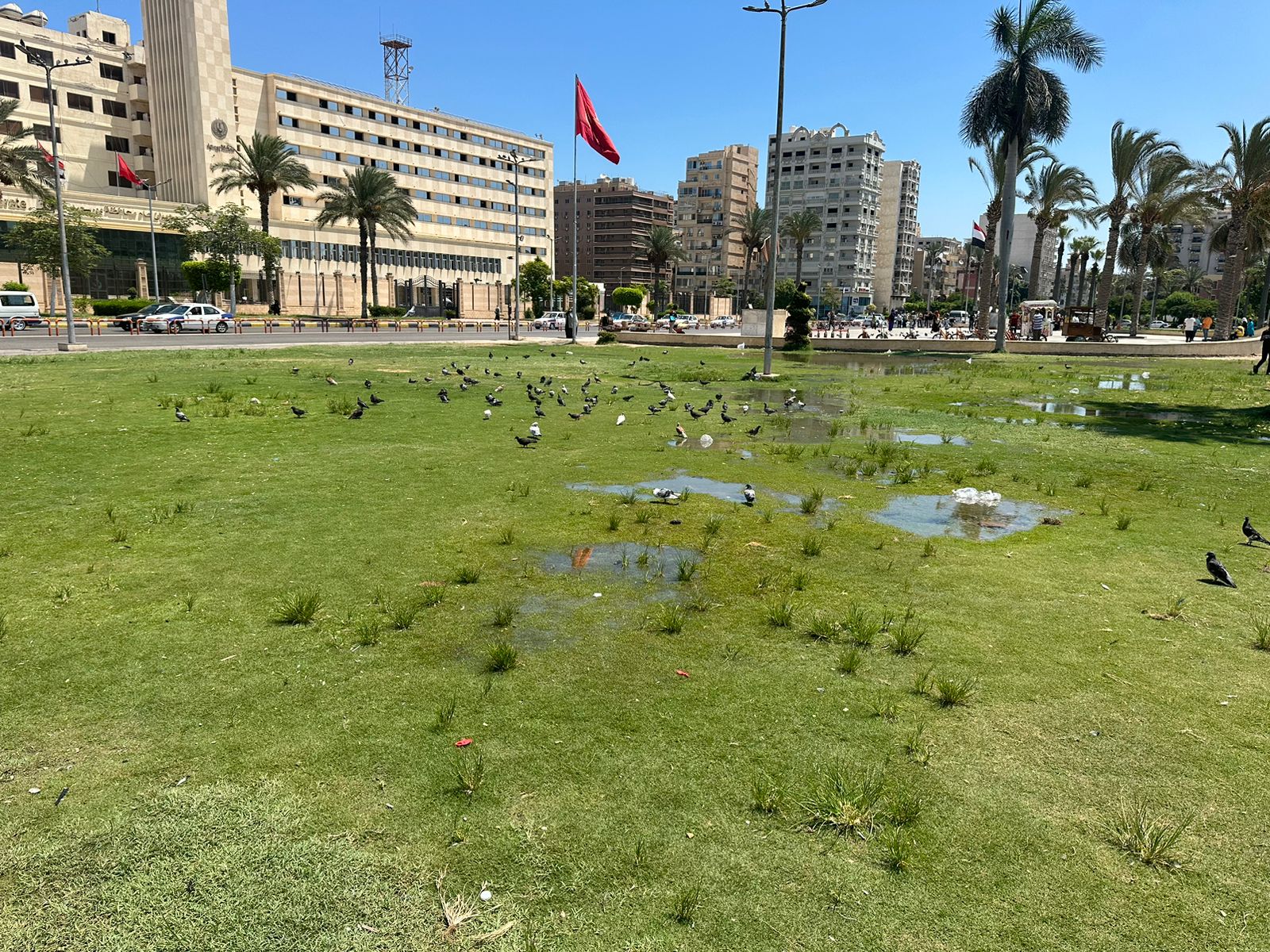 جانب من ميدان وساحة الحمام