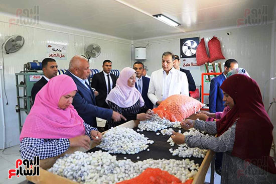 داخل معمل حلول خيوط الحرير بالوادي الجديد