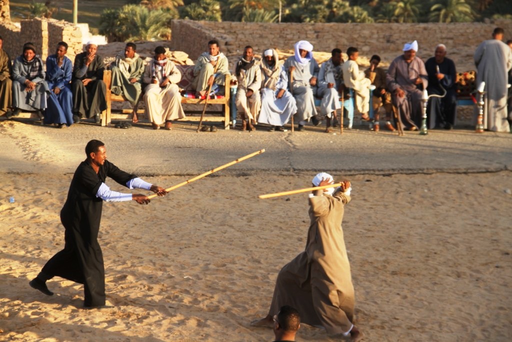 منافسات أبناء القبائل فى التحطيب