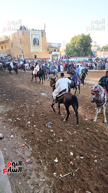 مسيرات-بالجمال-وسباق-بالخيل-في-احتفالات-المولد-النبوى