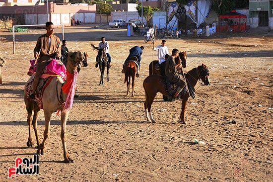 المئات-من-الأهالي-يحتفلون-بالمولد-النبوى-فى-الأقصر