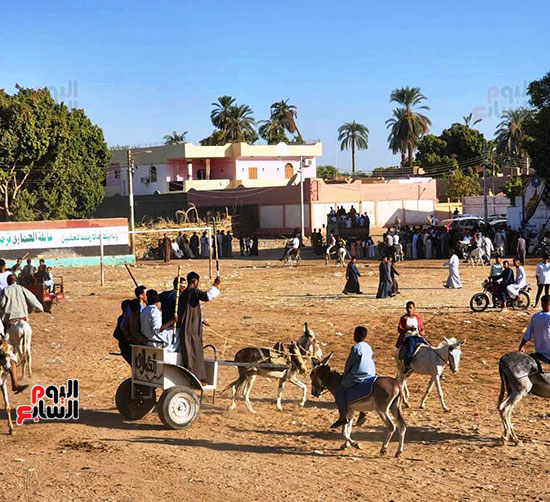 مسيرات-بالجمال-والخيول-والعربات-تجوب-القرى-والنجوع