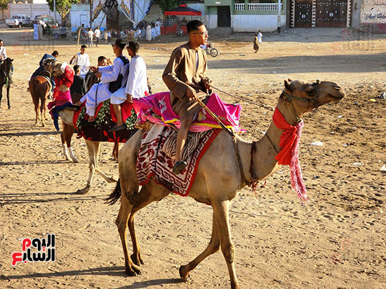 شباب-منشأة-العمارى-بالجمال-فى-دورة-المولد