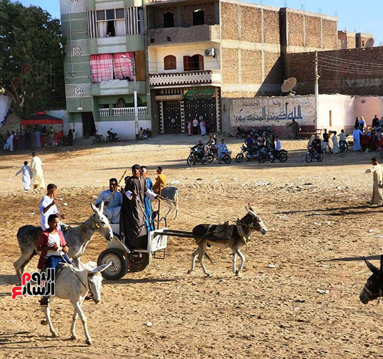 مسيرات-بالجمال-والخيول-والعربات-تجوب-القرى-بالأقصر