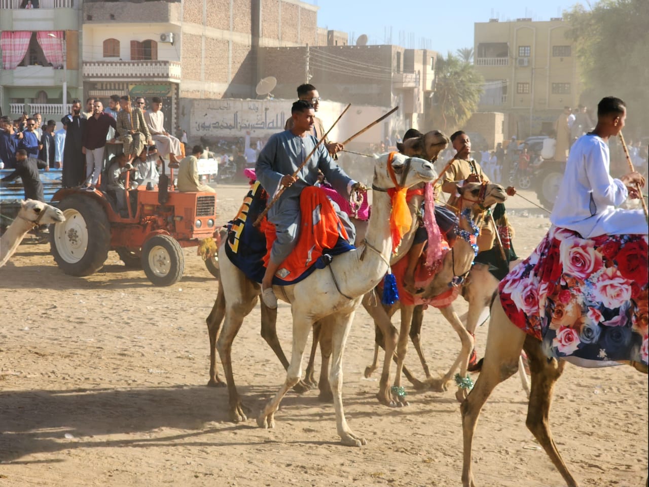 مسيرات بالجمال والخيول والعربات تجوب القرى والنجوع بالأقصر