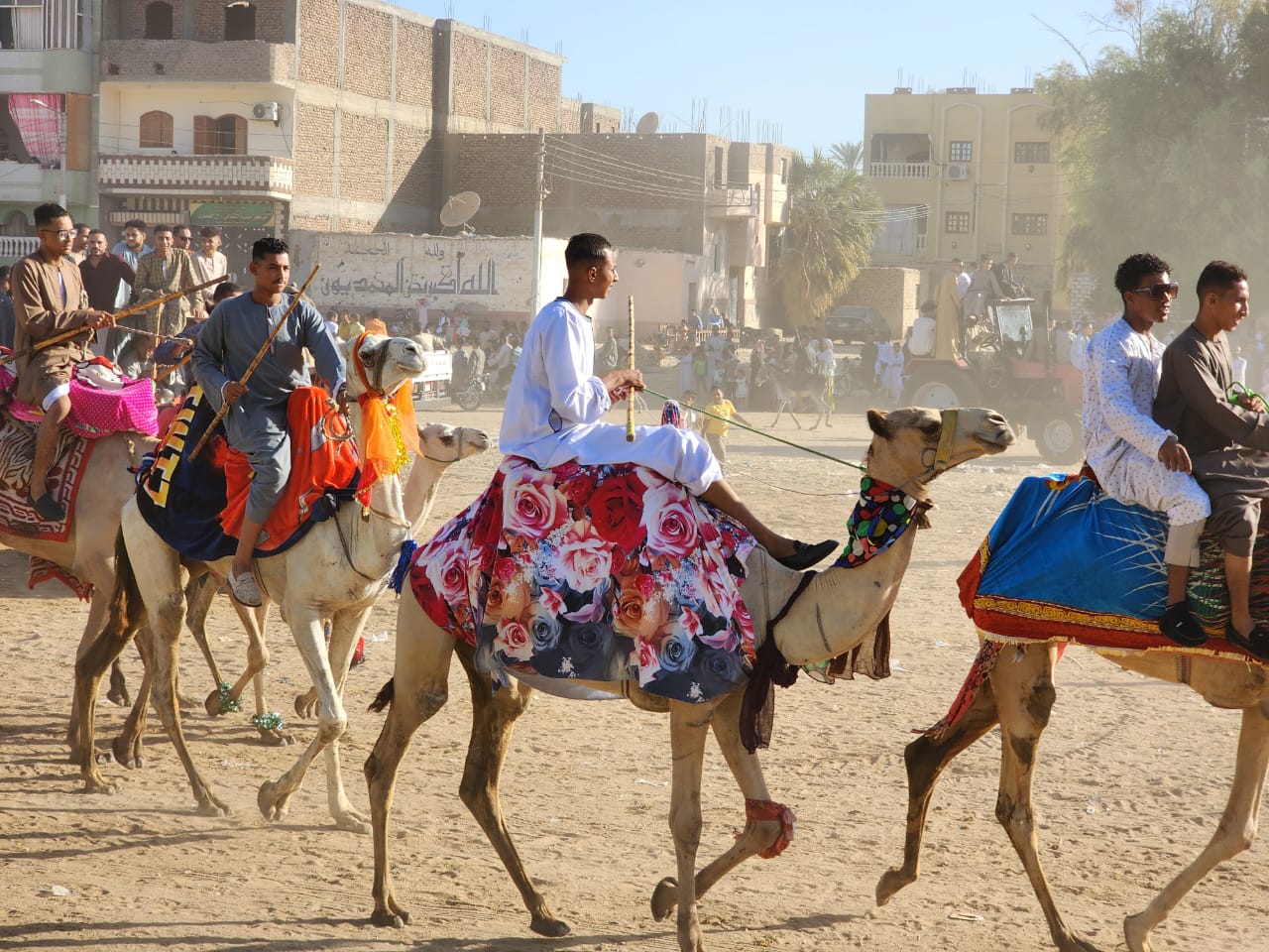 فرحة المولد بمشاركة الجمال فى الأقصر