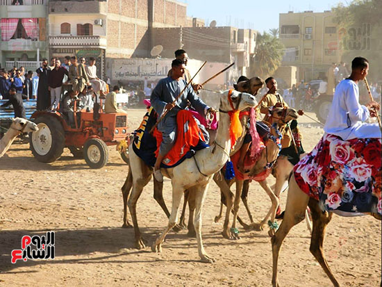 مسيرات-بالجمال-والخيول-والعربات-تجوب-القرى-والنجوع-بالأقصر