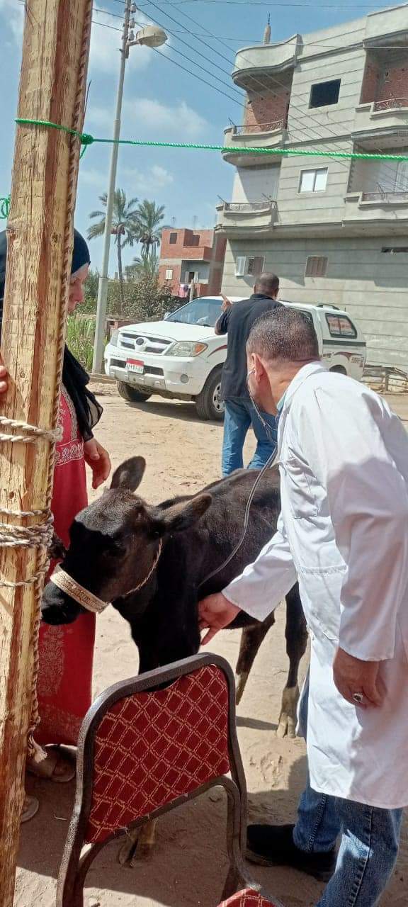 جانب من فعاليات القافلة العلاجية البيطرية