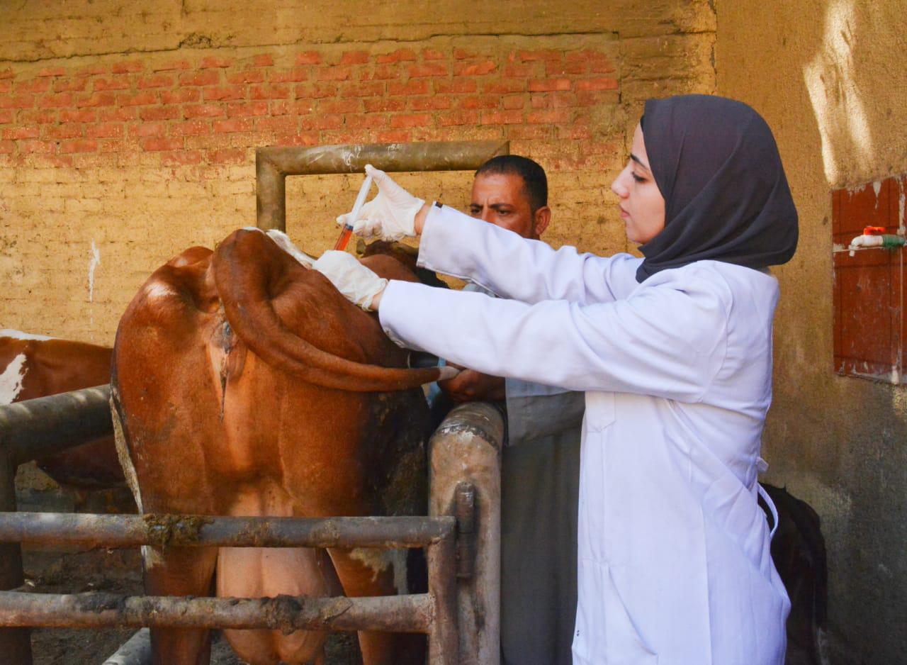 قافلة طبية لجامعة القاهرة