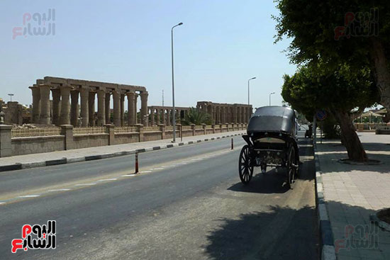 عربة تجرها الخيول على كورنيش الأقصر عربة تجرها الخيول على كورنيش الأقصر