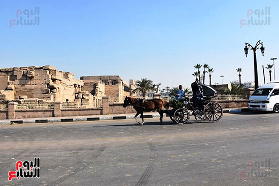 عربات تجرها الخيول أمام معبد الأقصر عربات تجرها الخيول أمام معبد الأقصر