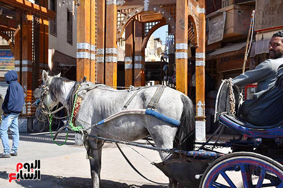 سحر العربة التي تجرها الخيول في شوارع الأقصر سحر العربة التي تجرها الخيول في شوارع الأقصر