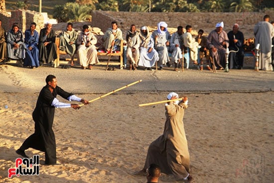 منافسات-أبناء-القبائل-فى-التحطيب