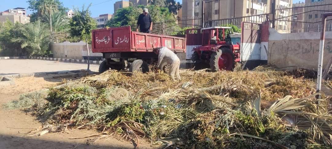 جانب من الحملة المكبرة للنظافة والتجميل بغرب المنصورة 