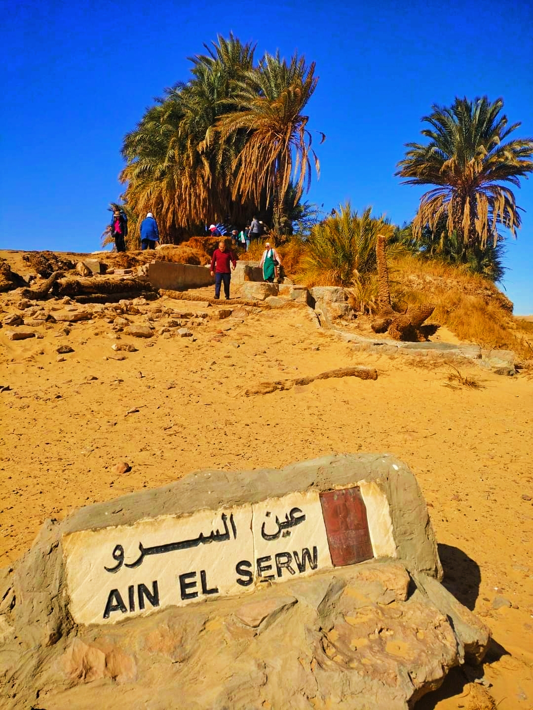 لافتة عين السرو التوضيحية لافتة عين السرو التوضيحية