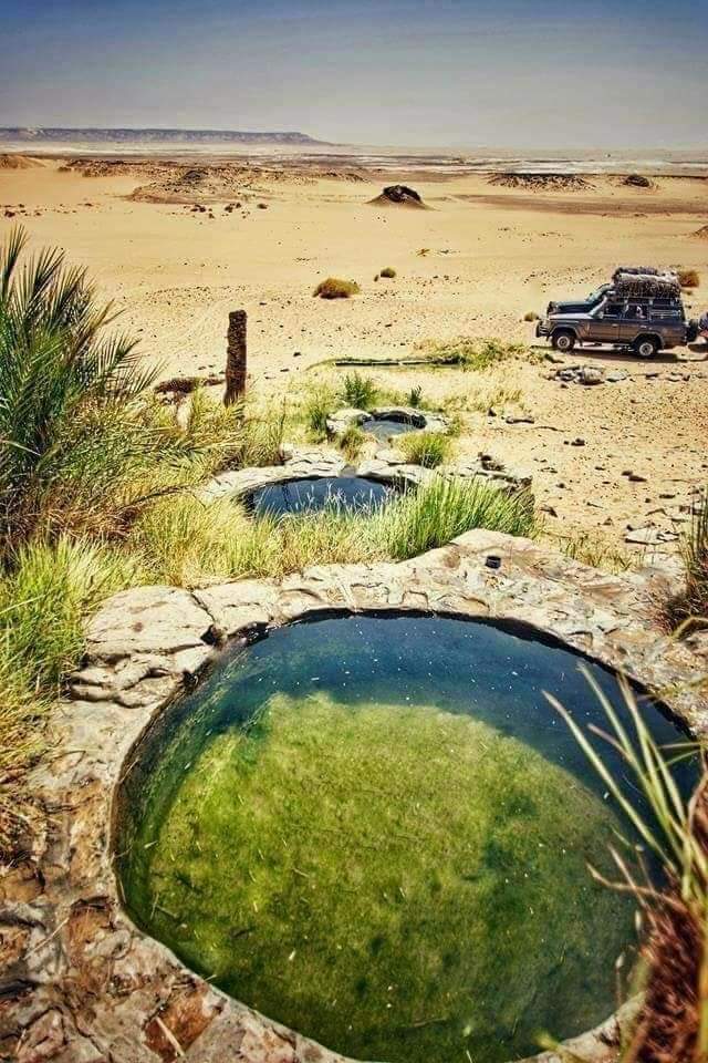عين السرو السحرية بالوادى الجديد عين السرو السحرية بالوادى الجديد