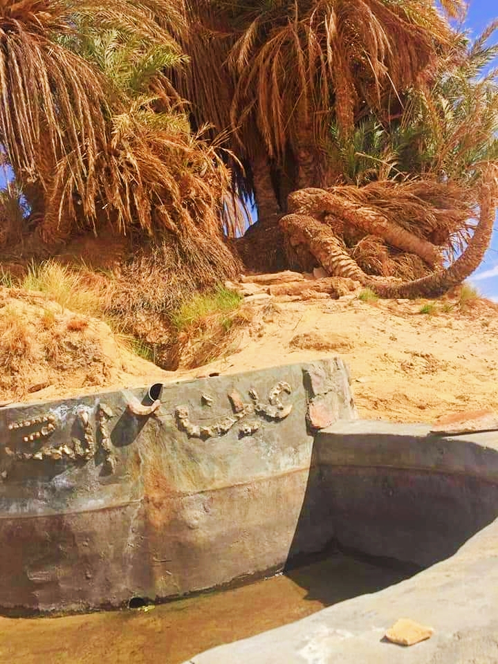 عين السرو تقع فى منطقة صخور اسفنجية عين السرو تقع فى منطقة صخور اسفنجية