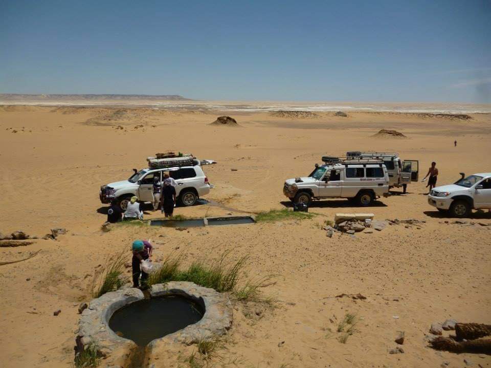 وفود السياح فى زيارة لعين السرو وفود السياح فى زيارة لعين السرو