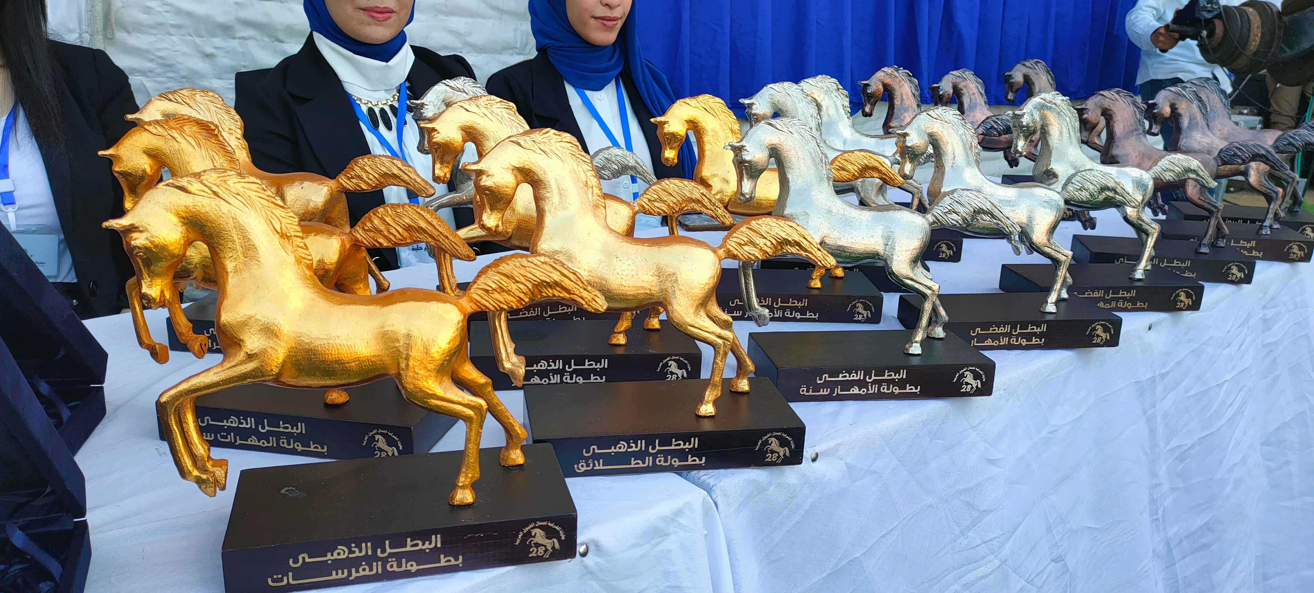 جوائز مهرجان الشرقية