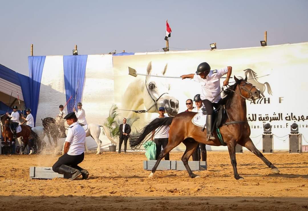 مهارة الفارس التقاط الاوتاد  بمهرجان الخيول