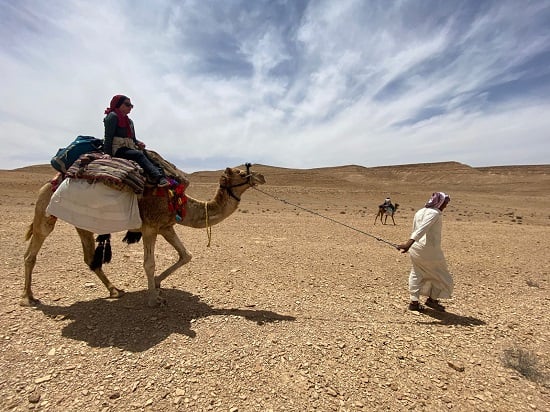 ركوب الجمال