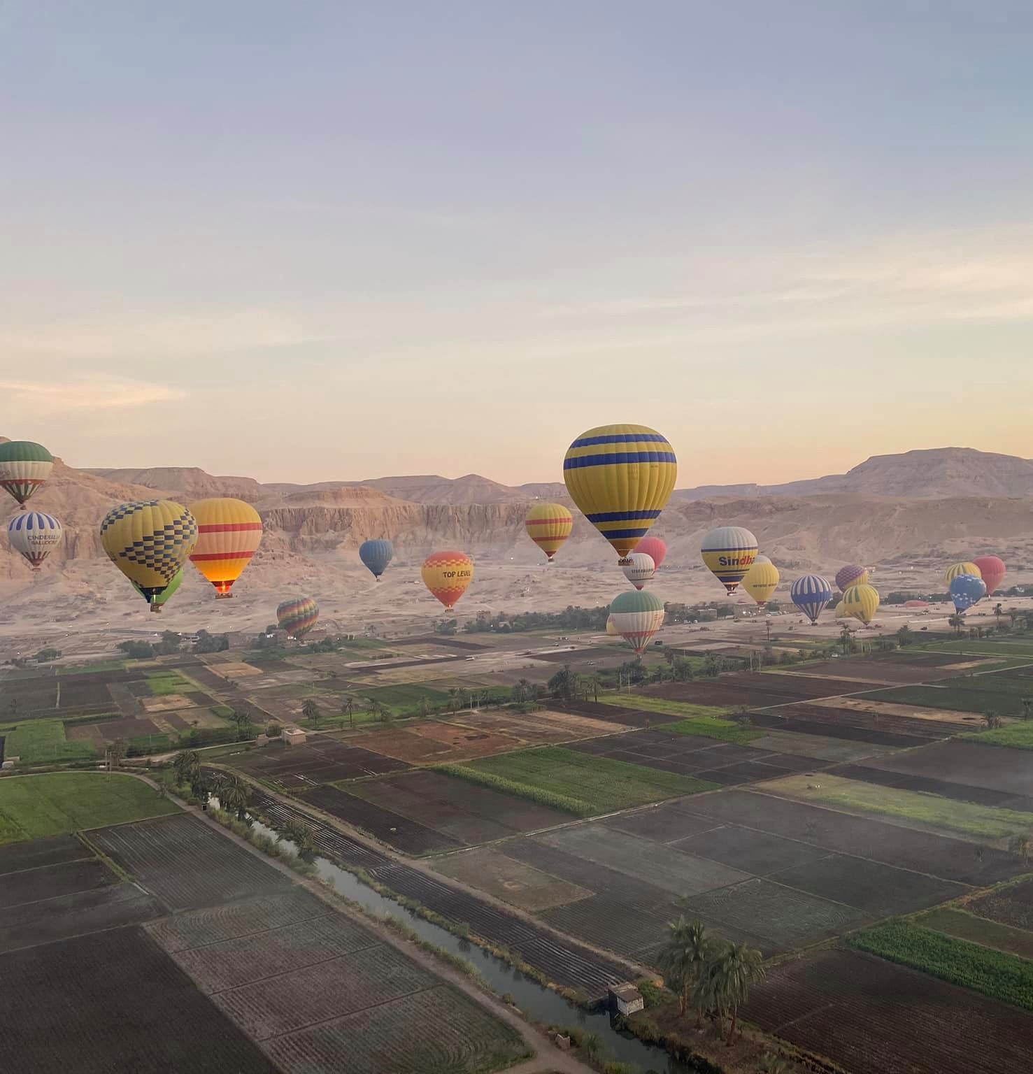 البالونات تحلق بين الطبيعة الساحرة غرب الأقصر