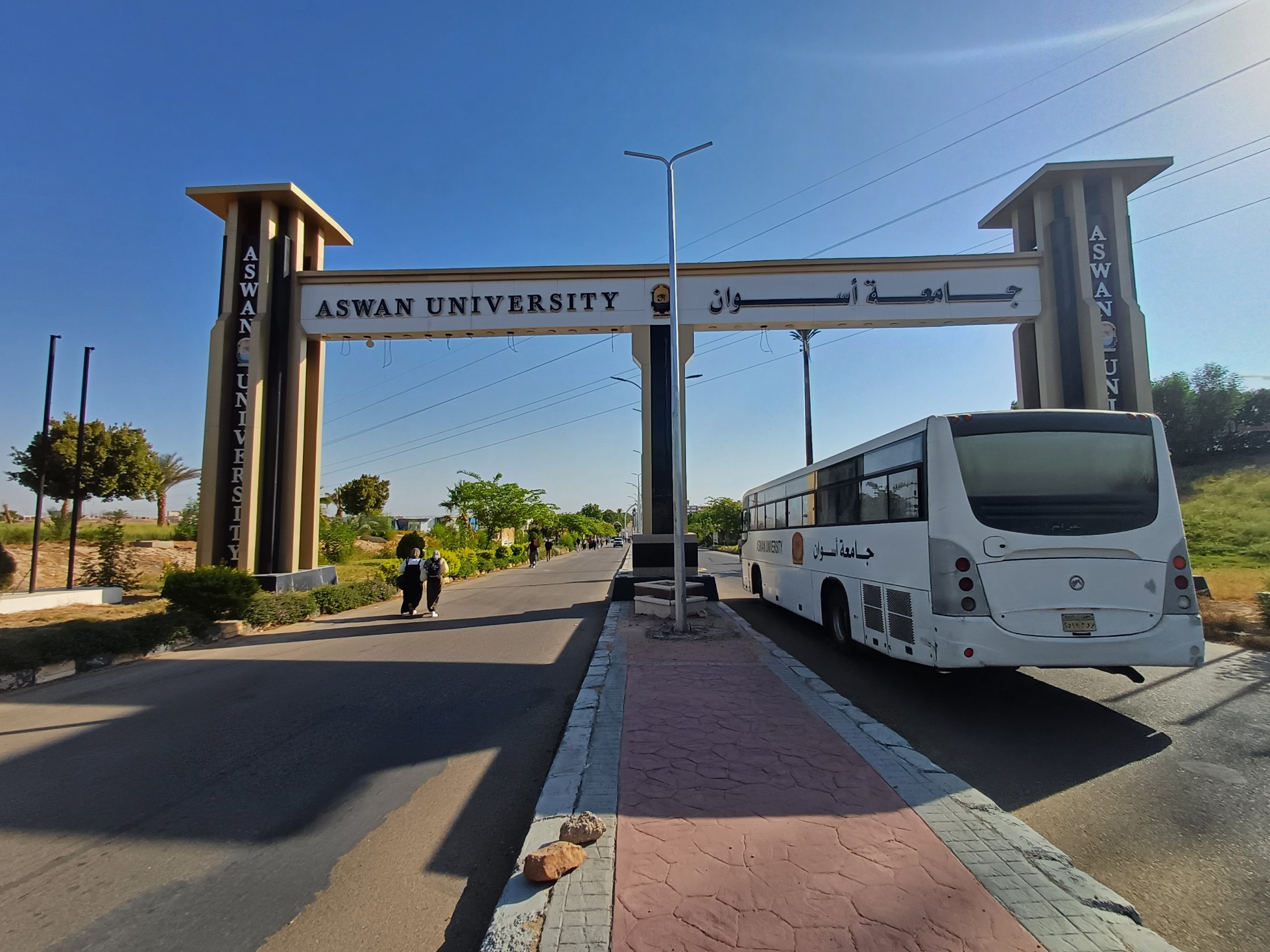 جامعة أسوان 