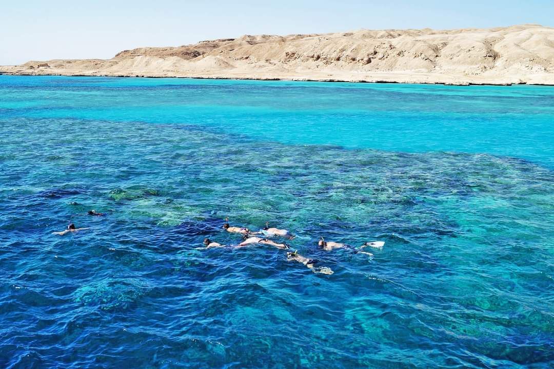 مناطق الغوص بمحمية راس محمد مناطق الغوص بمحمية راس محمد