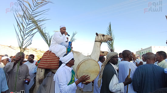 طوفة-الجمل