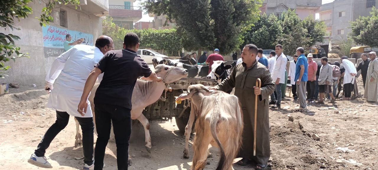 قافلة بيطرية بقرية بقلين