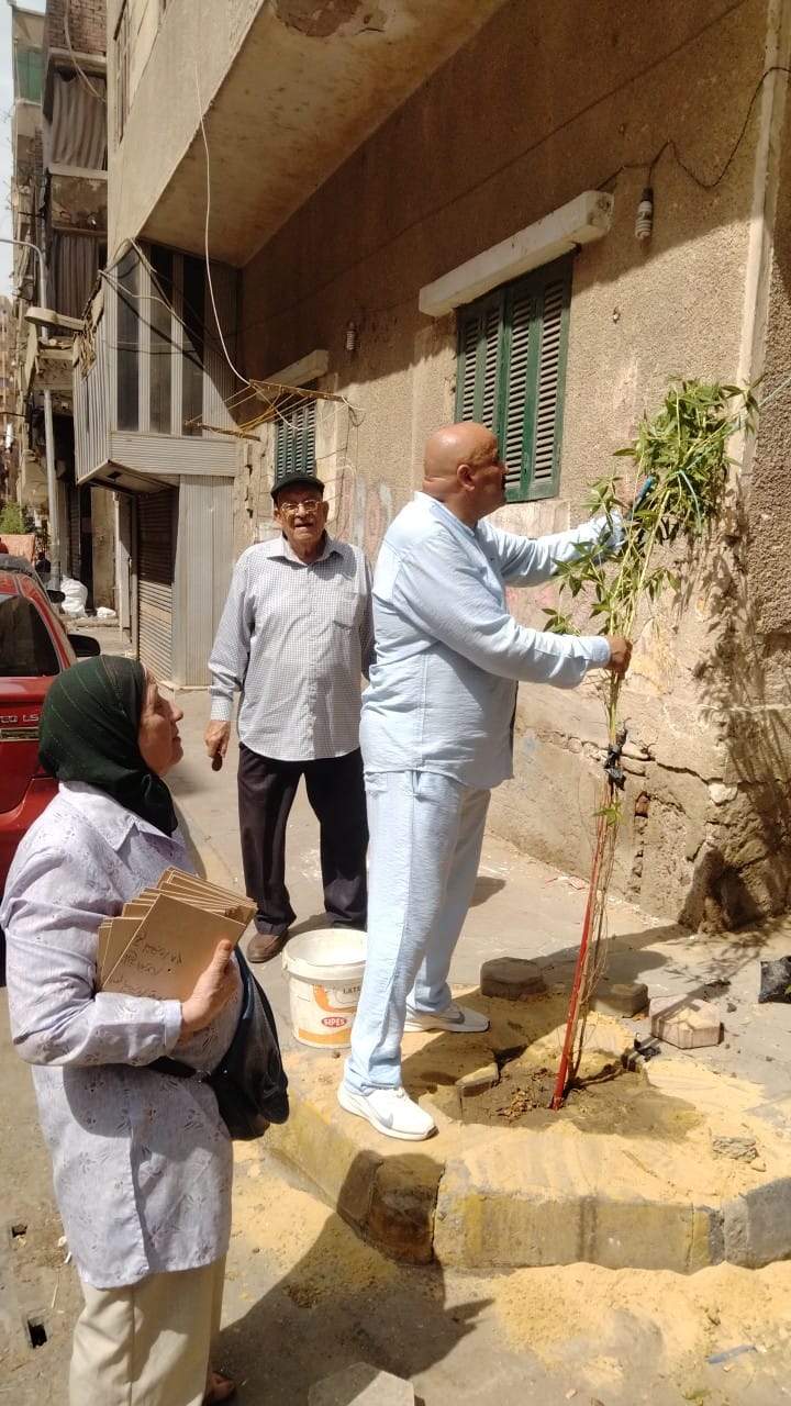 أهالى العمرانية الشرقية بالجيزة يطلقون مبادرة لتشجير الشوارع