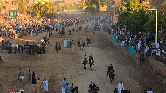 فرحة-المولد-بتنظيم-سباقات-الخيول-بالأقصر