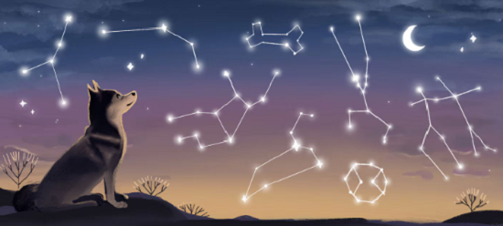 اسطورة الكلب الاكبر