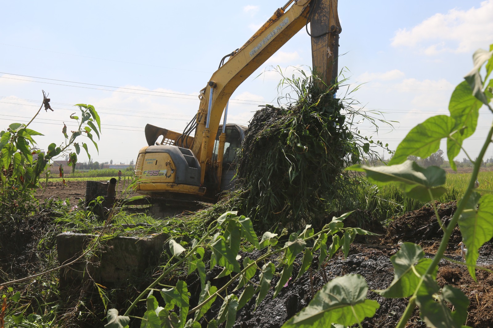 تطهير الترع بكفر الشيخ تطهير الترع بكفر الشيخ