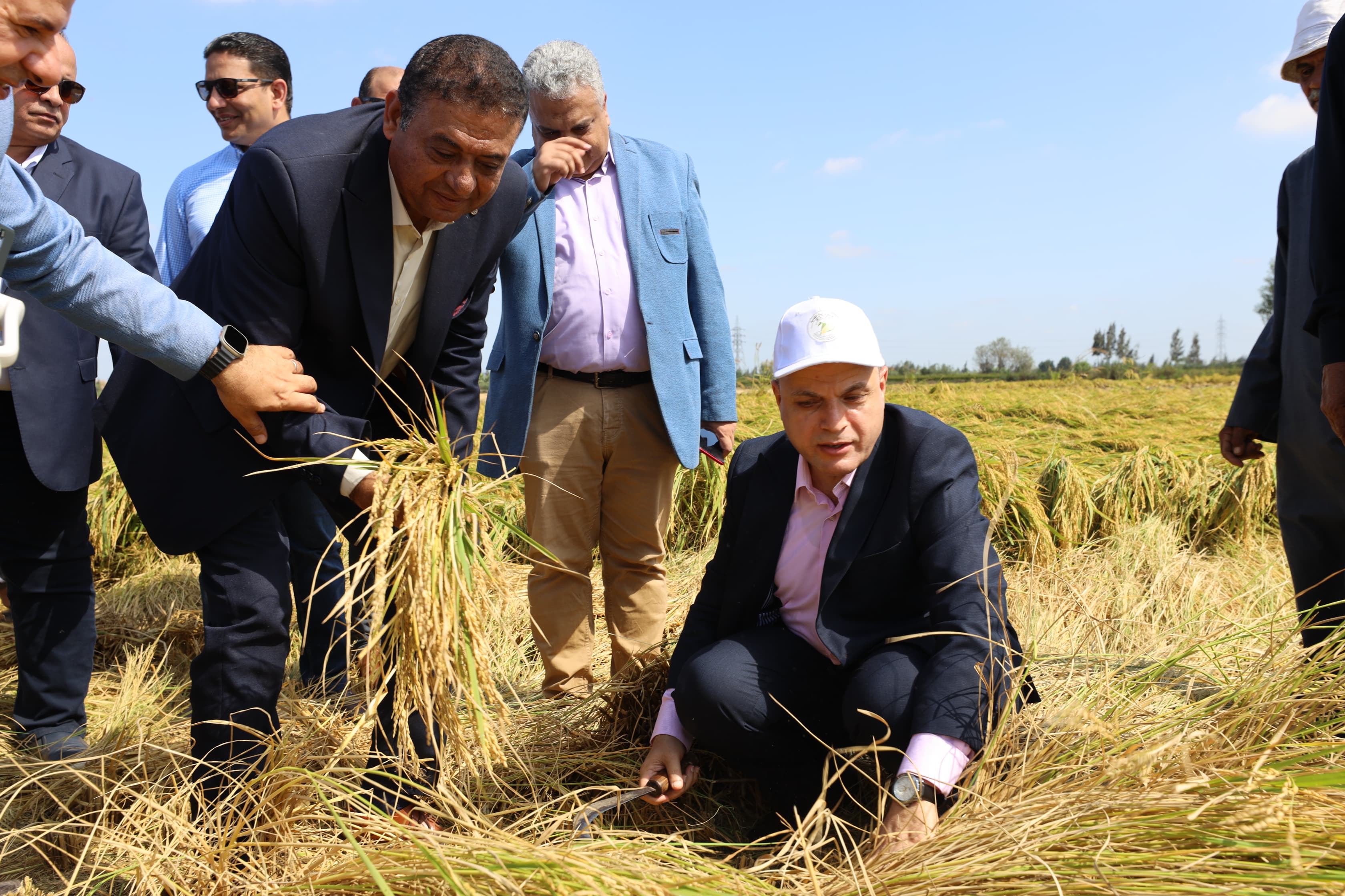 محافظ كفر الشيخ يشهد يوم الحصاد محافظ كفر الشيخ يشهد يوم الحصاد