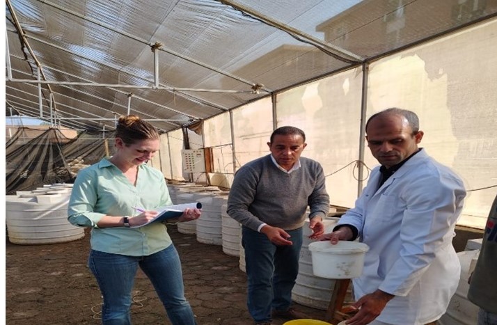 خلال العمل بمزارع الأسماك بزراعة مشتهر خلال العمل بمزارع الأسماك بزراعة مشتهر