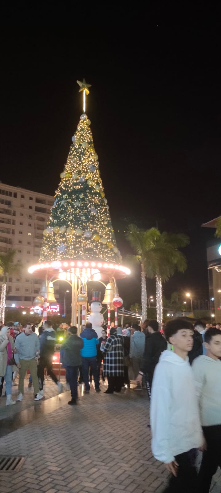 شجرة الكريسماس فى الاسكندرية
